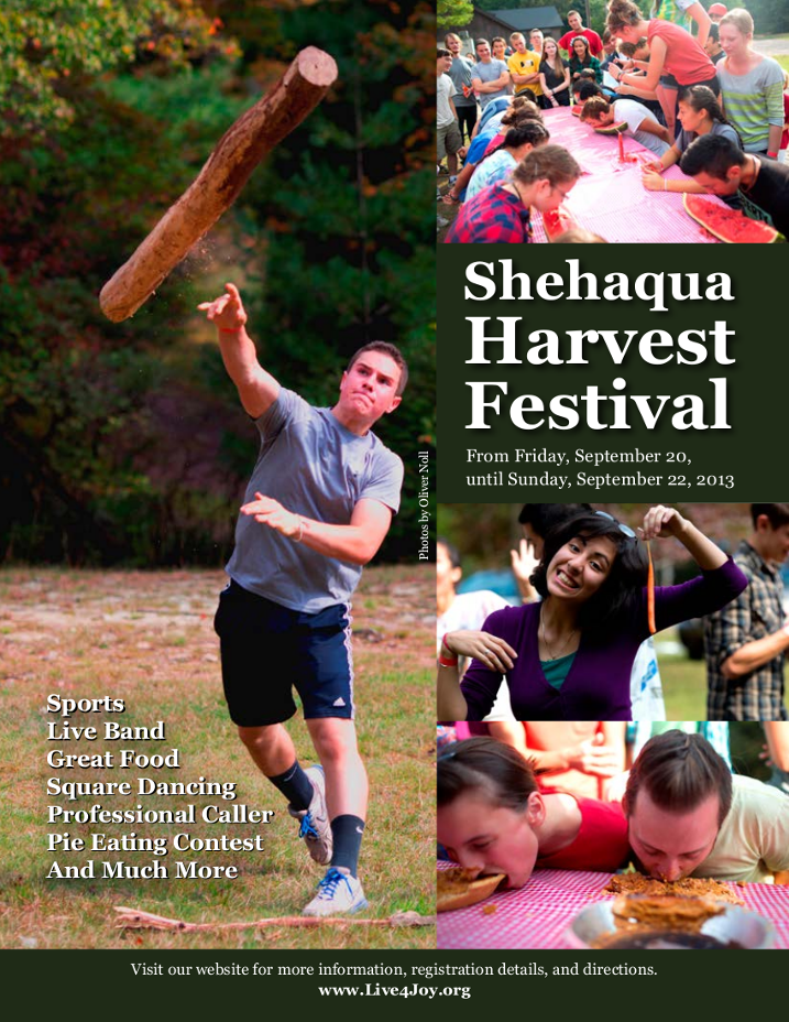 Fall Festival Flyer image